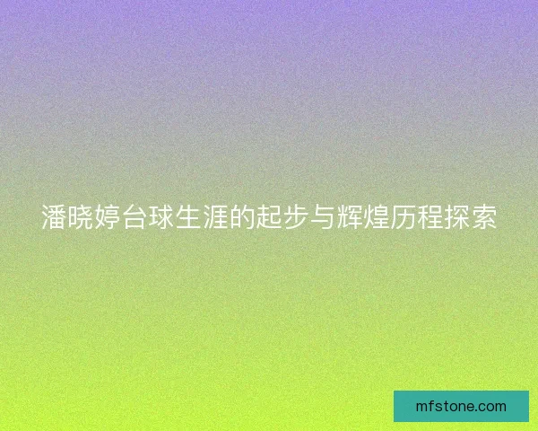 潘晓婷台球生涯的起步与辉煌历程探索